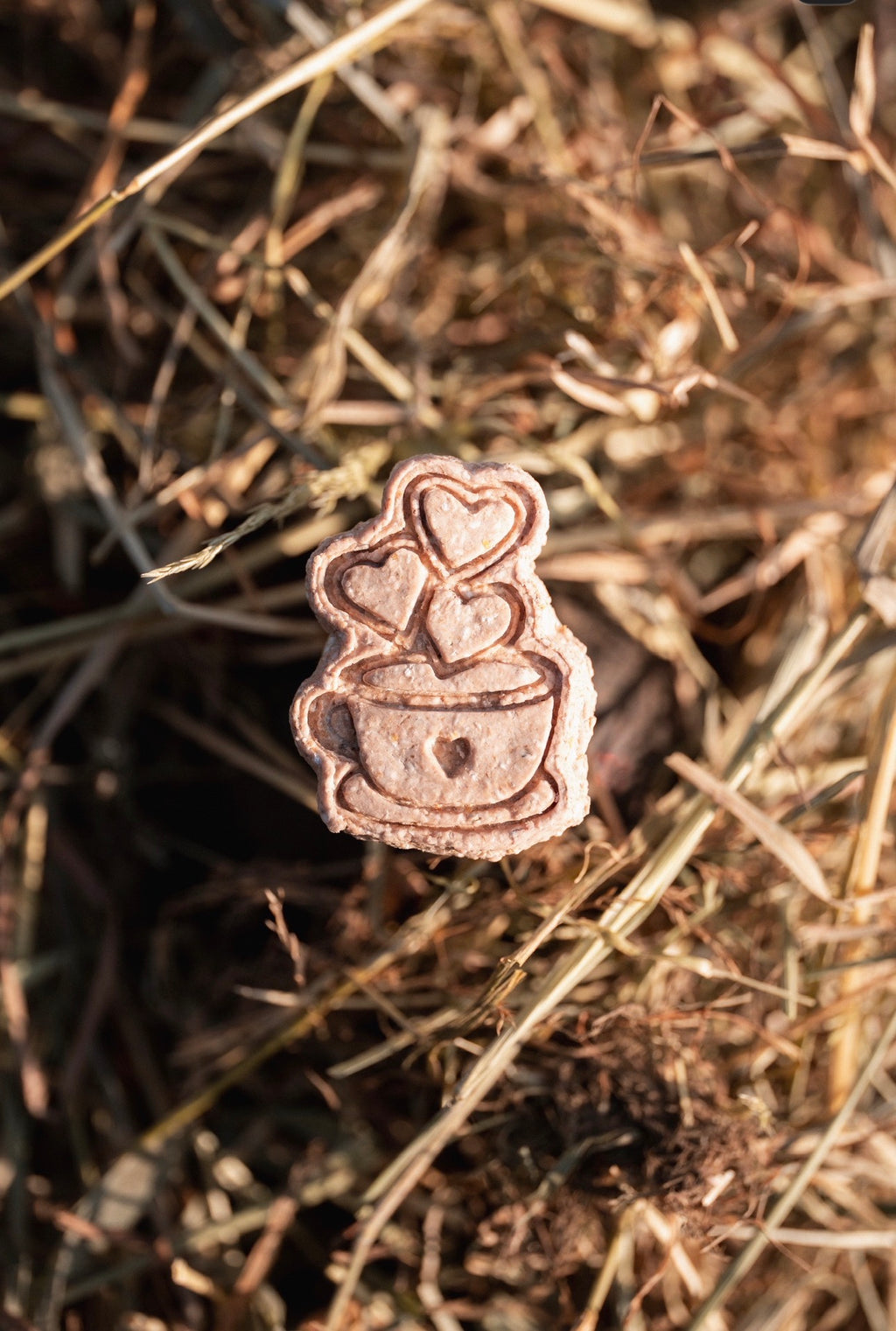 TheHorseTea™ - Thé Biscuits de la Saint-Valentin