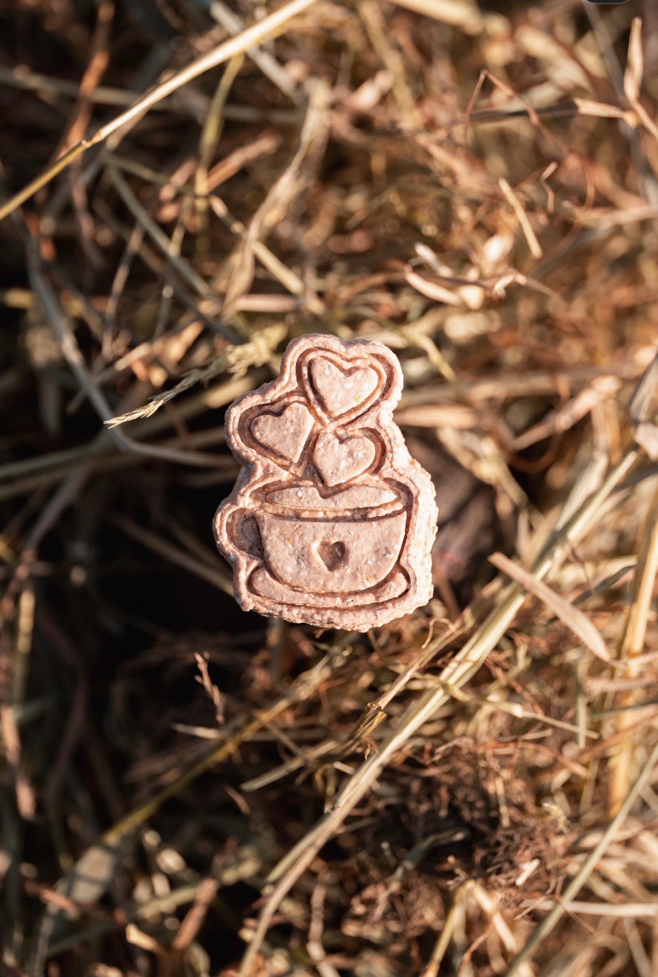 TheHorseTea™ - Thé Biscuits de la Saint-Valentin