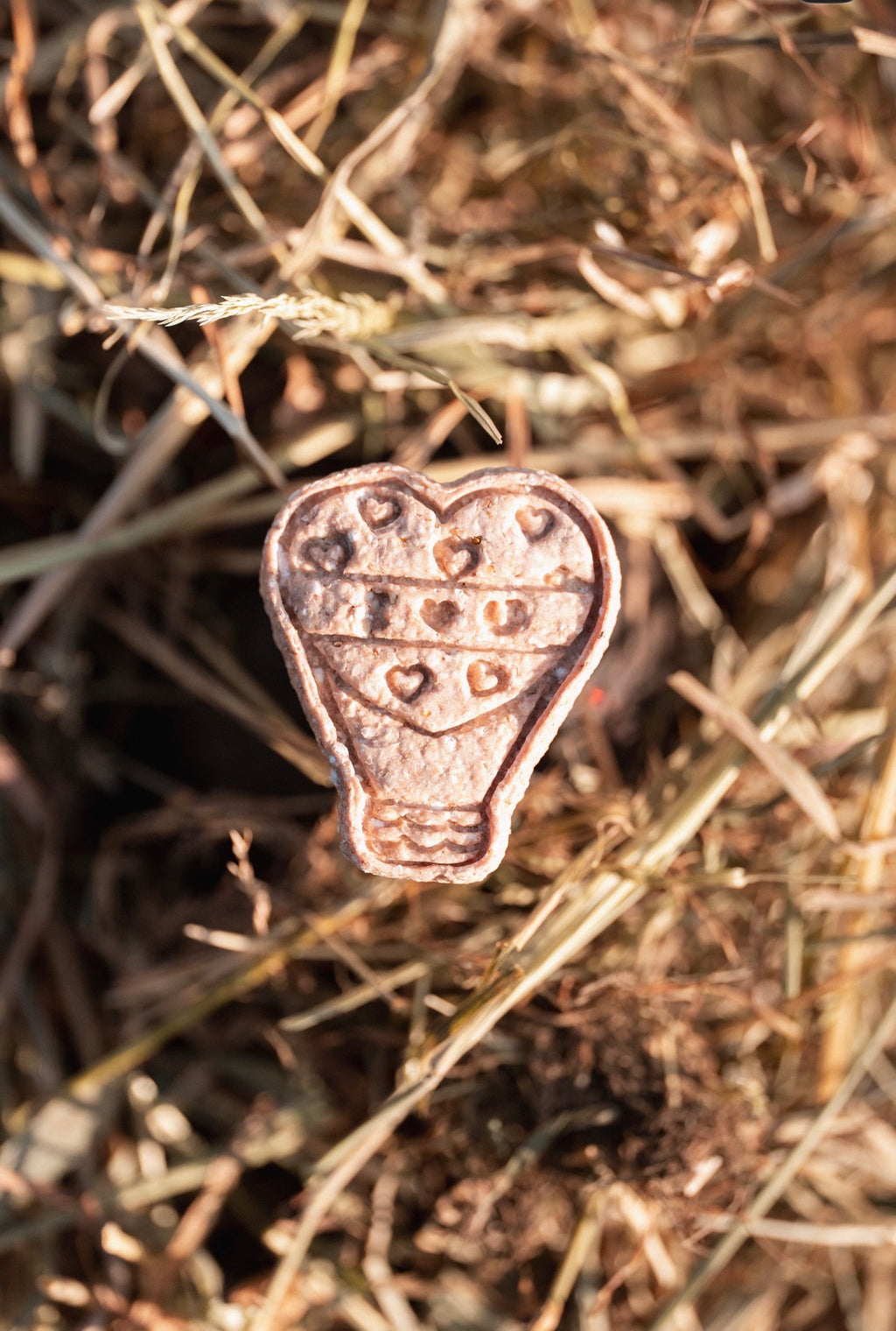 TheHorseTea™ - Thé Biscuits de la Saint-Valentin