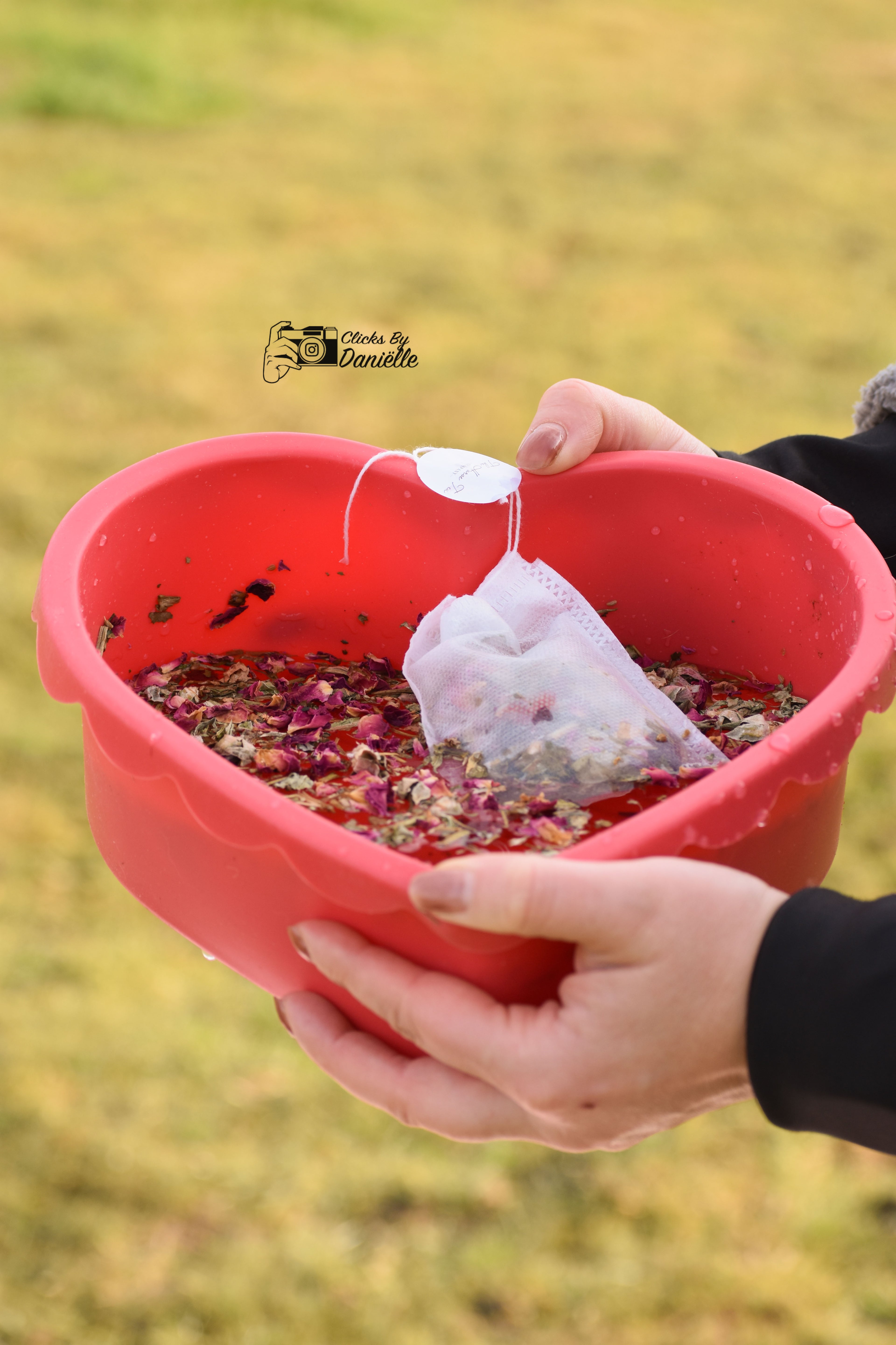 TheHorseTea™ - You are my Valentea