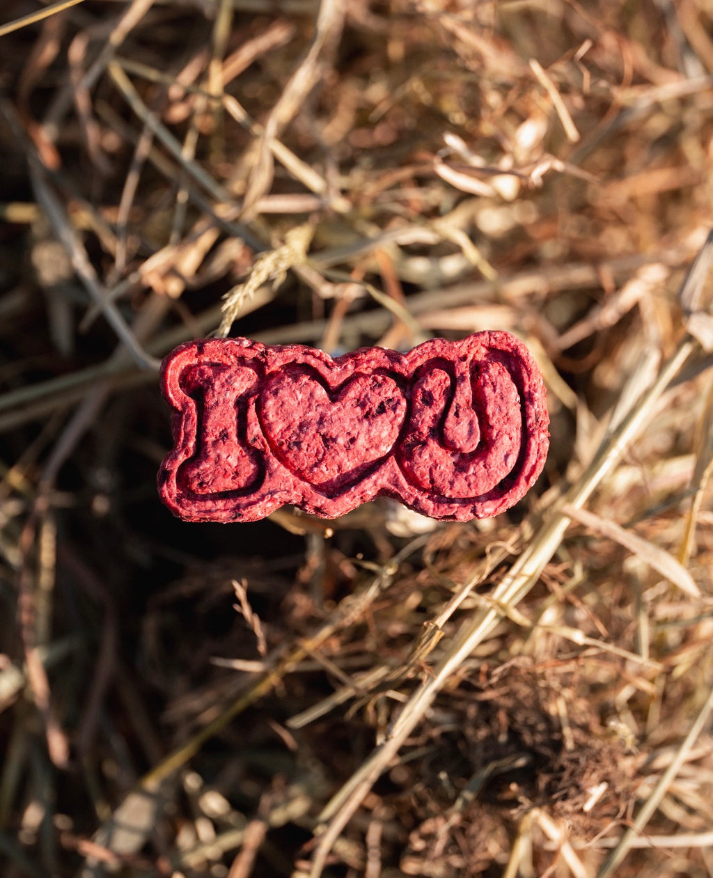 TheHorseTea™ - Thé Biscuits de la Saint-Valentin