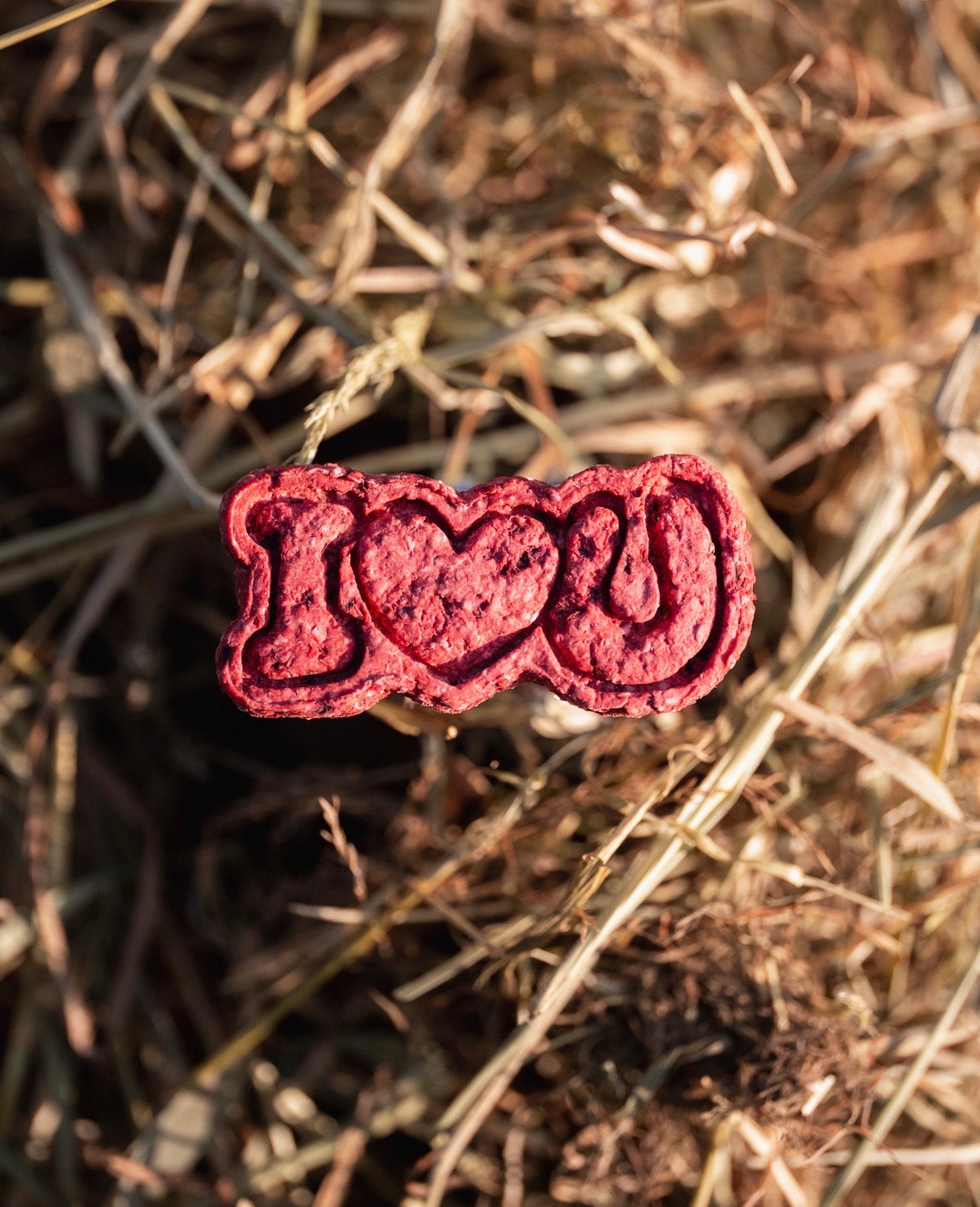 TheHorseTea™ - Thé Biscuits de la Saint-Valentin