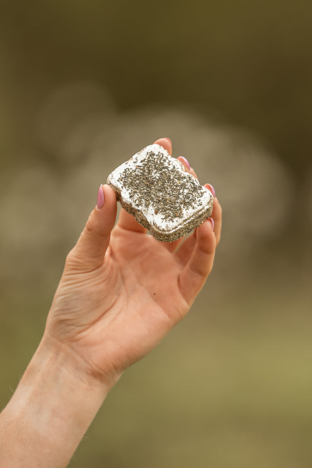 HealTea™ - Herbal Biscuits