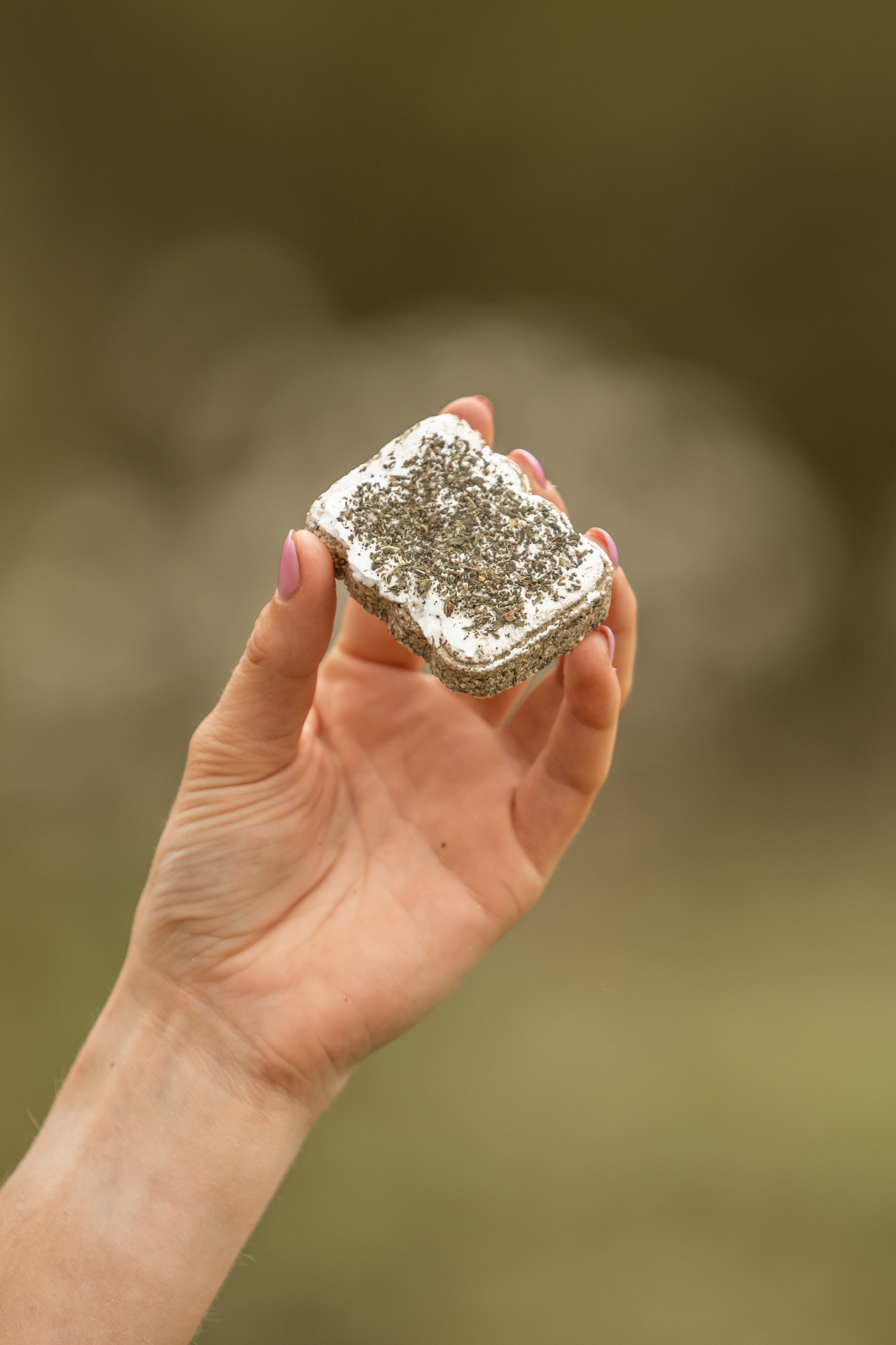 HealTea™ - Herbal Biscuits