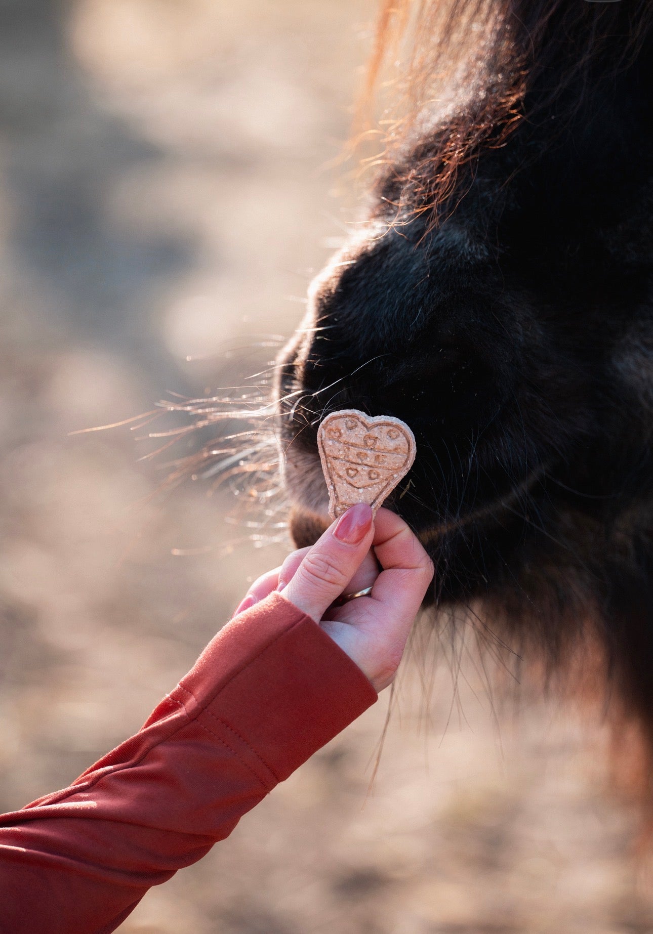 TheHorseTea™ - Valentijn tea biscuits