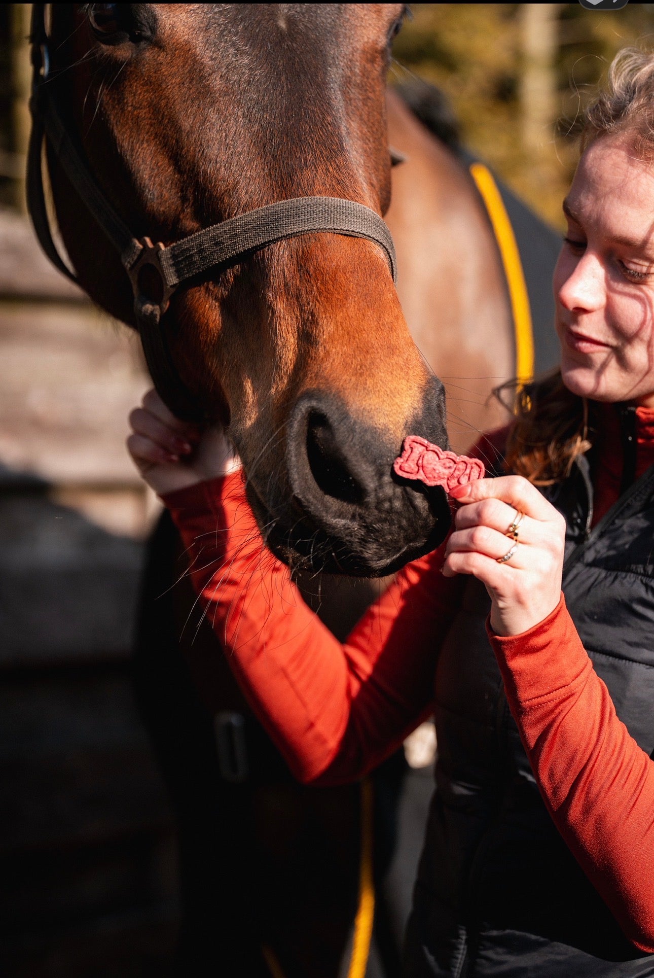 TheHorseTea™ - Valentijn tea biscuits