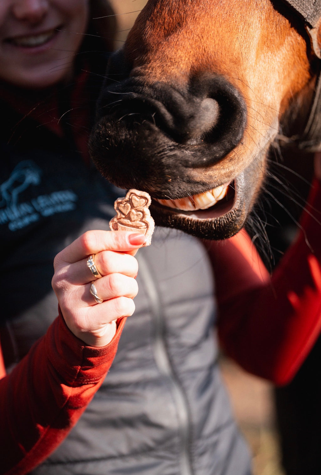 TheHorseTea™ - Thé Biscuits de la Saint-Valentin