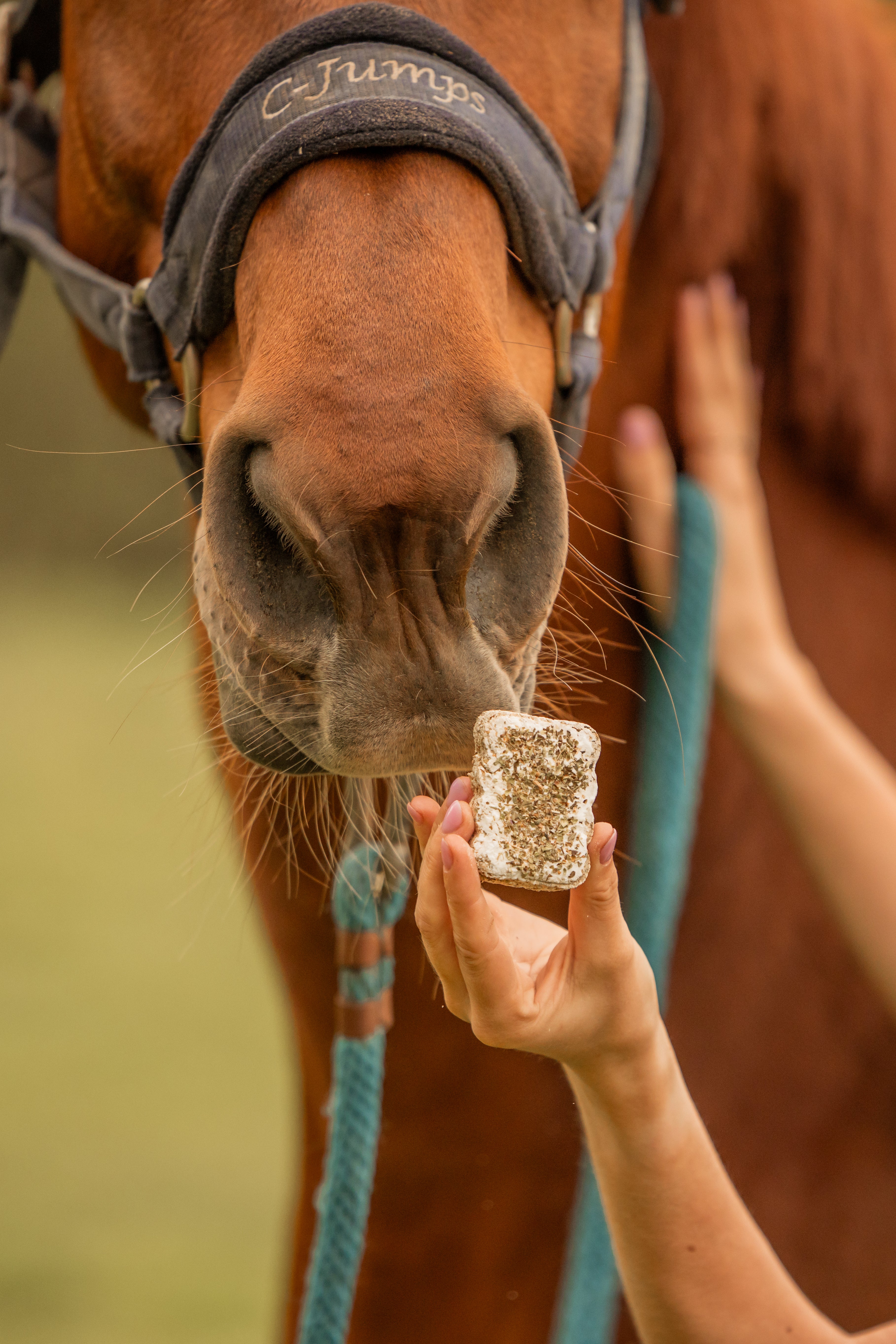 HealTea™ - Herbal Biscuits
