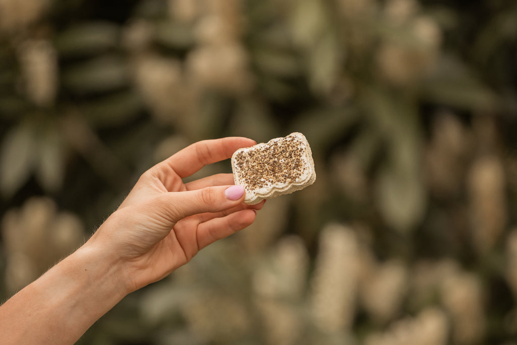 HealTea™ - Herbal Biscuits