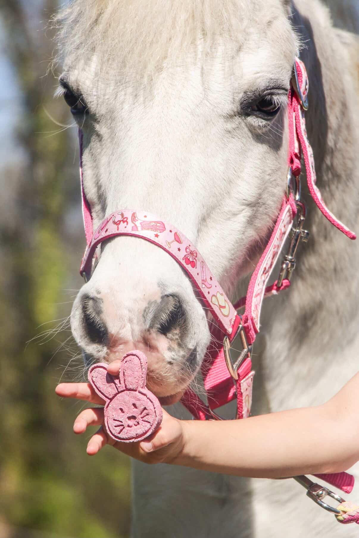 TheHorseTea™ - TasTea Bunny