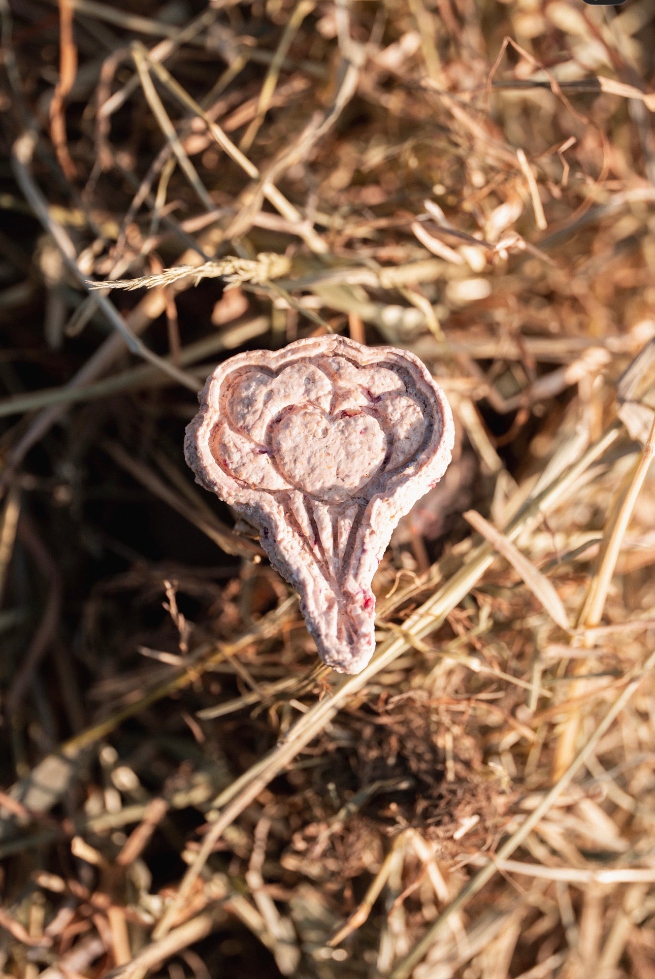 TheHorseTea™ - Thé Biscuits de la Saint-Valentin