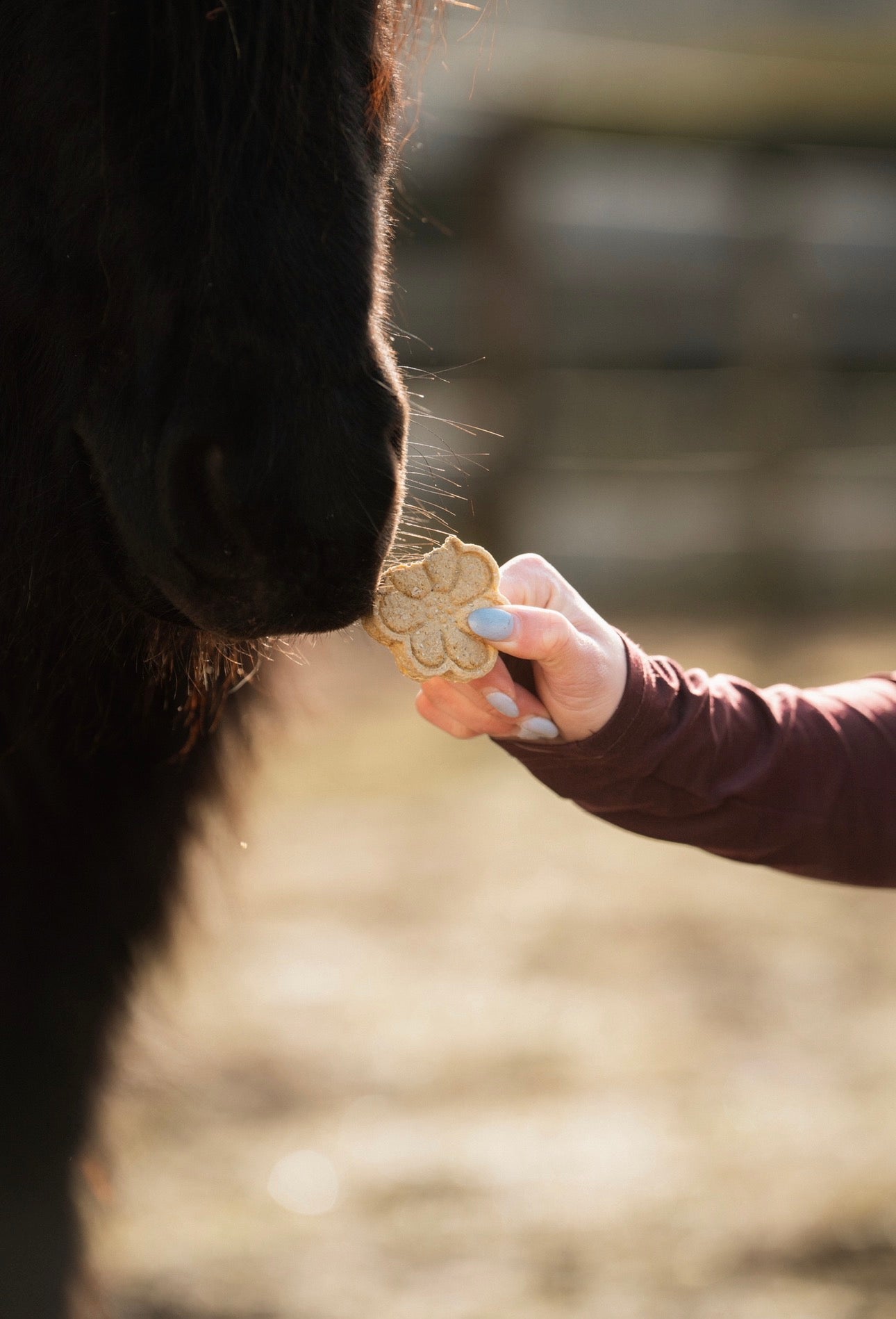 TheHorseTea™ - TasTea Flowers
