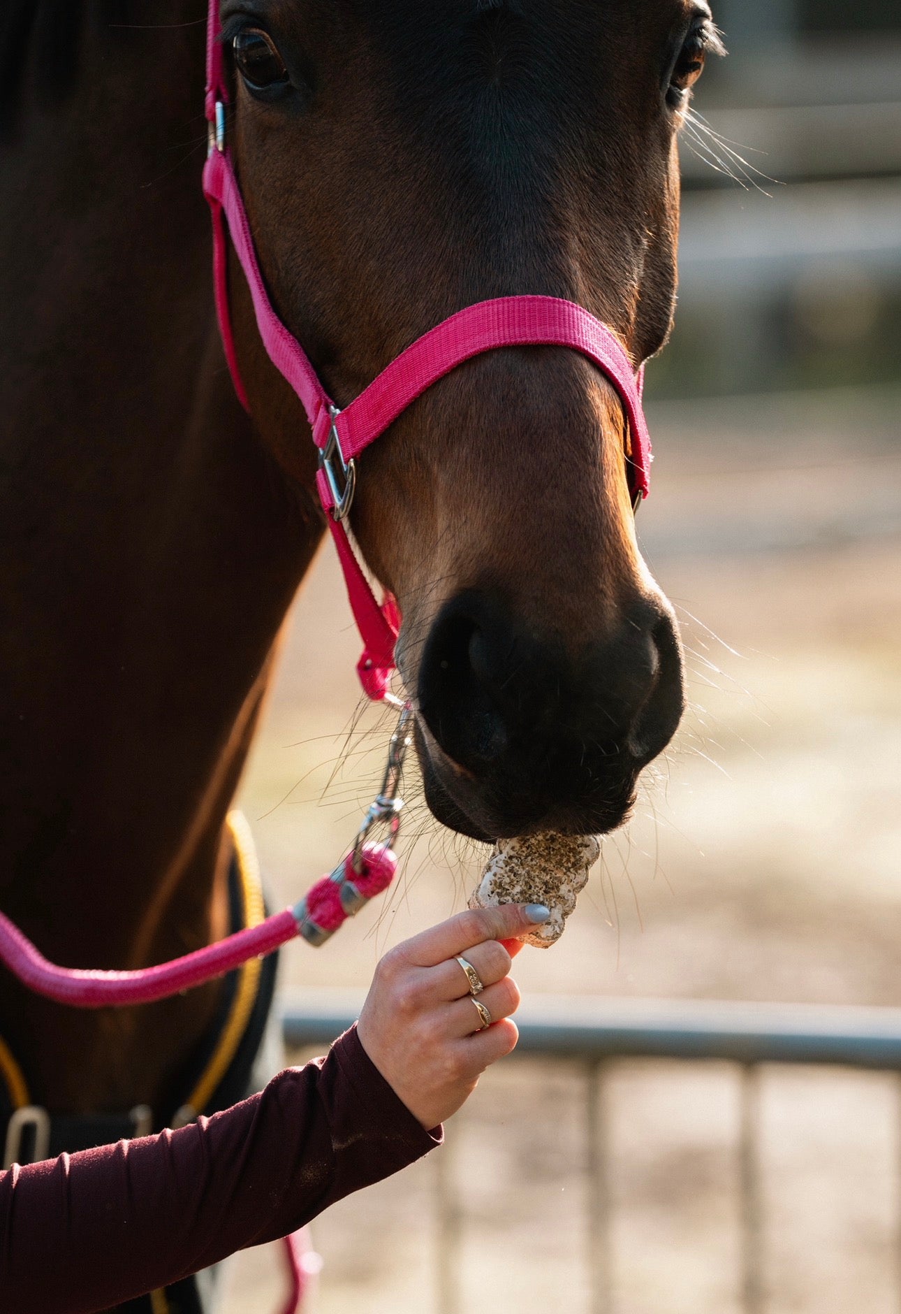 HealTea™ - Herbal Biscuits