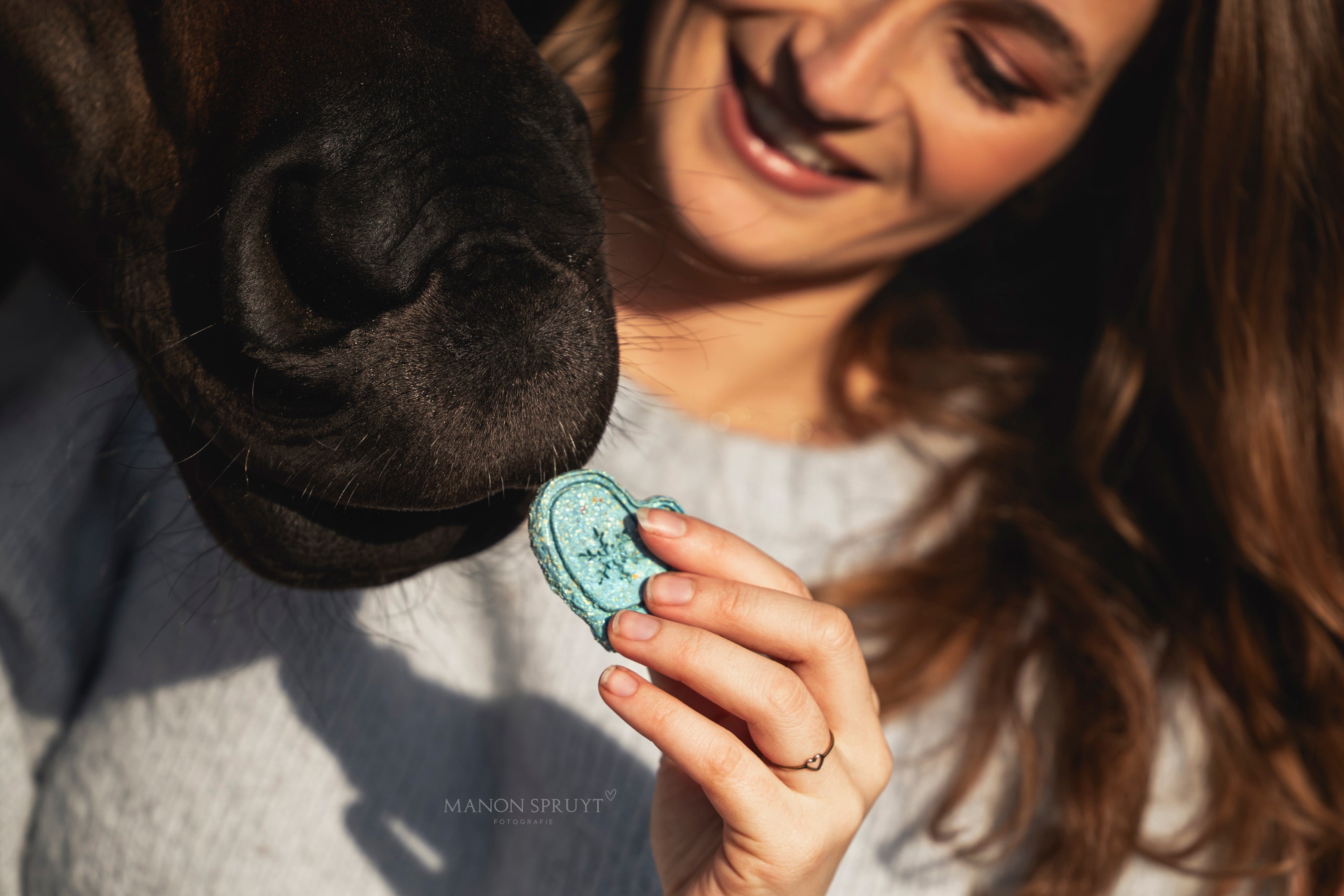 TheHorseTea™ - Winter Wonderland tea biscuits