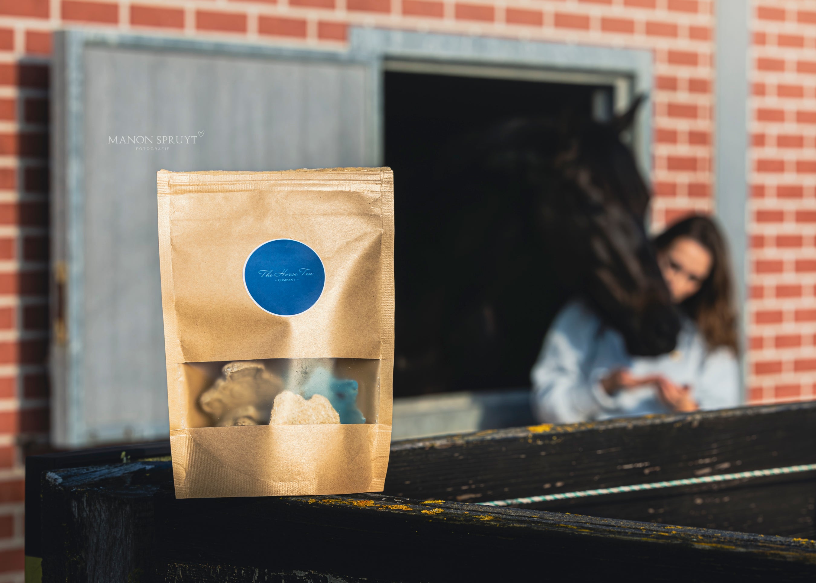 TheHorseTea™ - Winter Wonderland tea biscuits